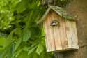 tree house