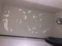 5AFE1EF4-B29E-4BFE-8D41-D11D7A606336