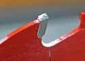 Closeup-of-the-braze-on-a-Diablo-blade