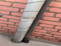 durrrr(1)