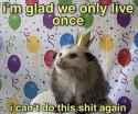 possum party birthday im glad we only live once i cant do this shit again