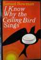 ceiling bird