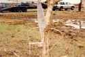 jarrell-1997-tornado-damage-v0-479zidowf03d1