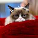 grumpycat4