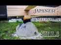 rock_japan