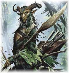 oak wood staff