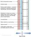 Masonry_Figure_06