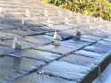 slate-roof-snow-guards-03