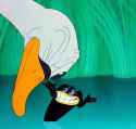 bird swan cartoon suspicious coolface