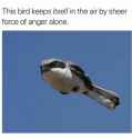 75 KB