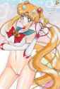 Sailor Moon Tsukino Usagi Bunny 8