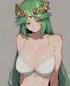 cui_palutena_06