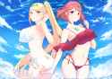 bikini-Mythra&amp;Pyra