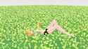 Neru Off in flower field