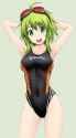 ss-gumi(fuuma_nagi)