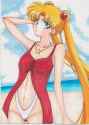 Tsukino.Usagi.600.3311709