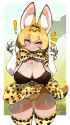 __serval_kemono_friends_drawn_by_crr001__1dbc1d531c93e345c54cd0659e13b61d