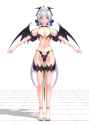 Hk haku succubus