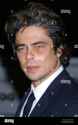 gq-awards-benicio-del-toro-G5GFGX