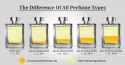 What-is-the-difference-between-EDT-EDP-and-Parfum-image