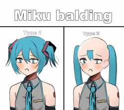 types-of-miku-balding-v0-ul5jqupq0h6d1