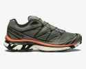 salomon xt6