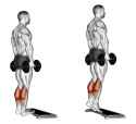 dumbbell-standing-calf-raise--1024x941-3057542361