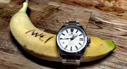 IMG_20240204_134521