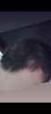 Screenshot_20250514-122821