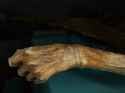 Iceman-wrist