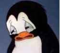 mfw