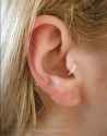 Screenshot 2025-06-03 at 01-13-28 tragus piercing hoop - Google Search