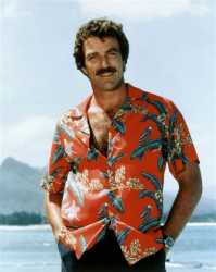 tomaloha