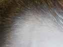 IMG_20250606_235246