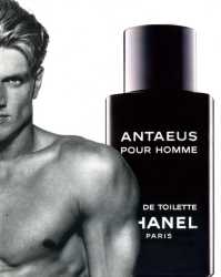 antaeus
