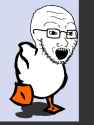 duckduck