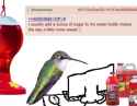 97 KB