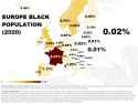 percentage-of-black-people-in-european-populations-2020-v0-zdutuqu6gn5a1