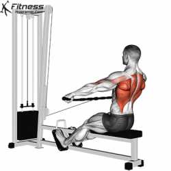 Seated-Cable-Row