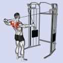 standing-cable-rear-delt-fly-guide