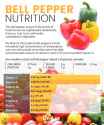 bellpeppernutrition low fructose vit c