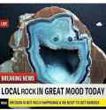 Local Rock In Great Mood