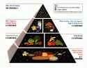 USDA_Food_Pyramid