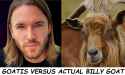 goatis-vs-goat