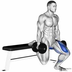 dumbbell-bulgarian-split-squat-800