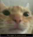 1737081322743118