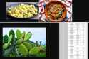 nopal