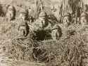 japanese-soldiers-in-the-dabie-mountains-keeping-themselves-v0-1s3m0sms1n3f1