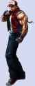 terry bogard