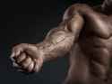 Forearms+3[1]